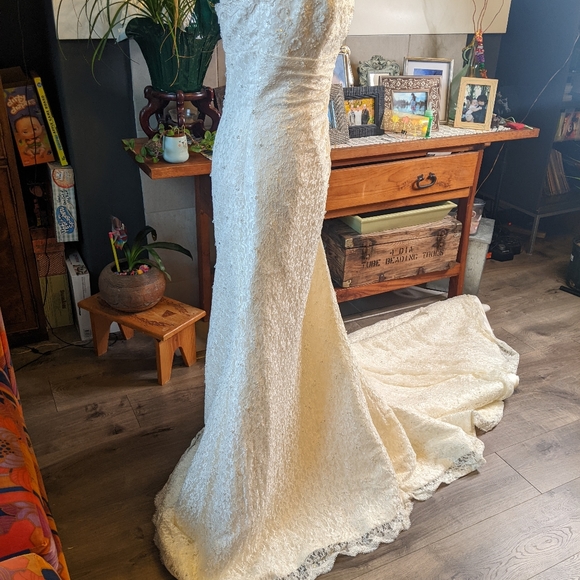 Pronovias Albeniz Tirso Wedding dress - Picture 13 of 15